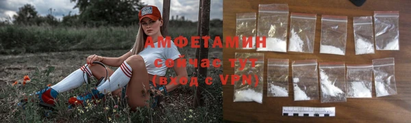 гидра Зеленодольск