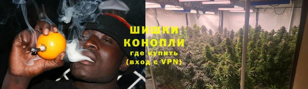 PSILOCYBIN Иннополис