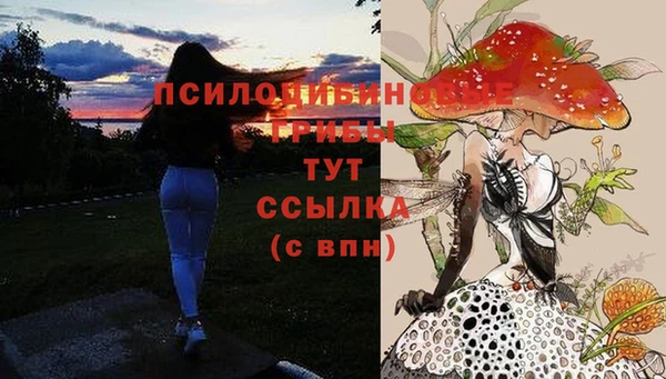 героин Инсар