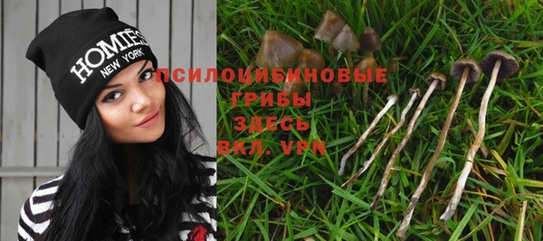 гидра Зеленодольск