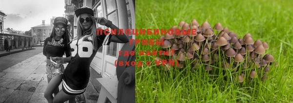 PSILOCYBIN Иннополис