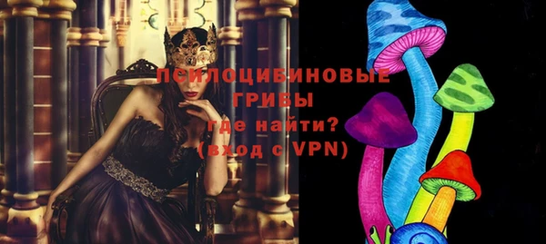гидра Зеленодольск