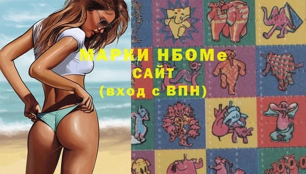 гидра Зеленодольск