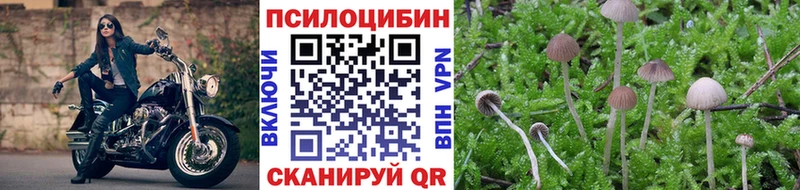 Галлюциногенные грибы мицелий  Купить закладки  Межгорье 